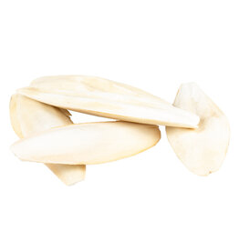 Overige Sepia Vogelschelp groot - 100 Gram