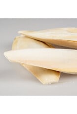 Overige Sepia Vogelschelp groot - 1 KG