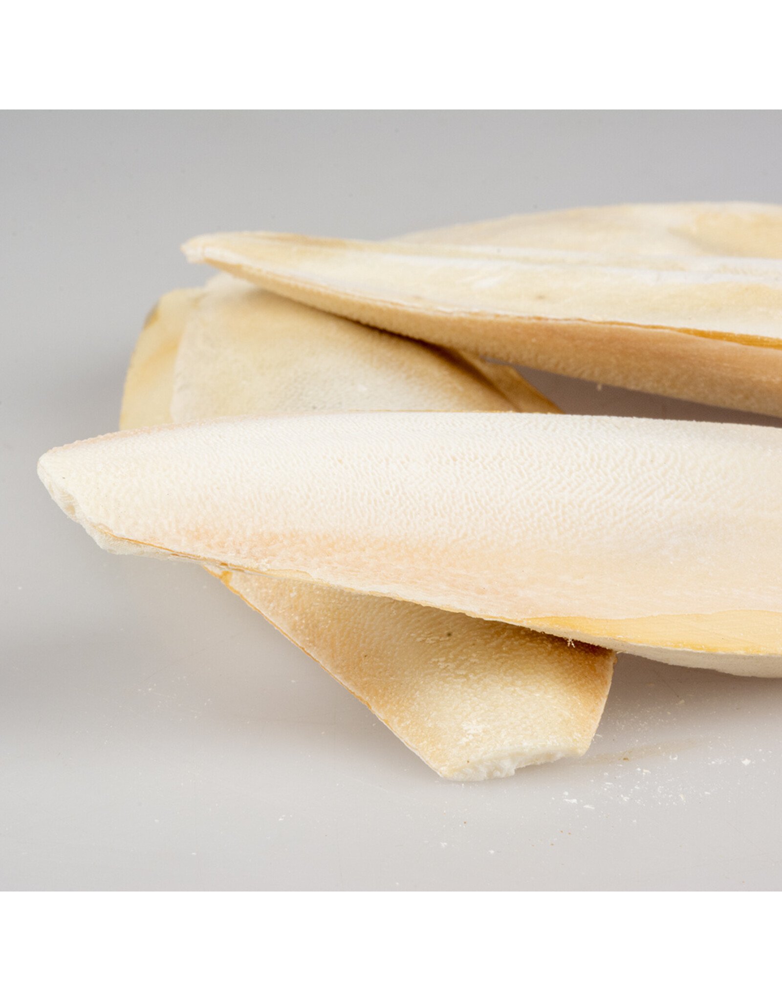Overige Sepia Vogelschelp groot - 1 KG
