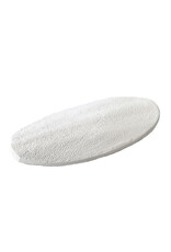 Overige Sepia Vogelschelp klein - 100 Gram