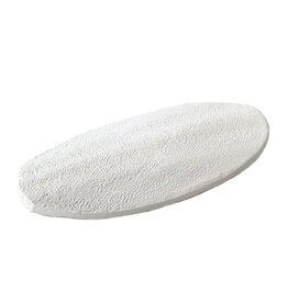 Overige Sepia Vogelschelp klein - 100 Gram