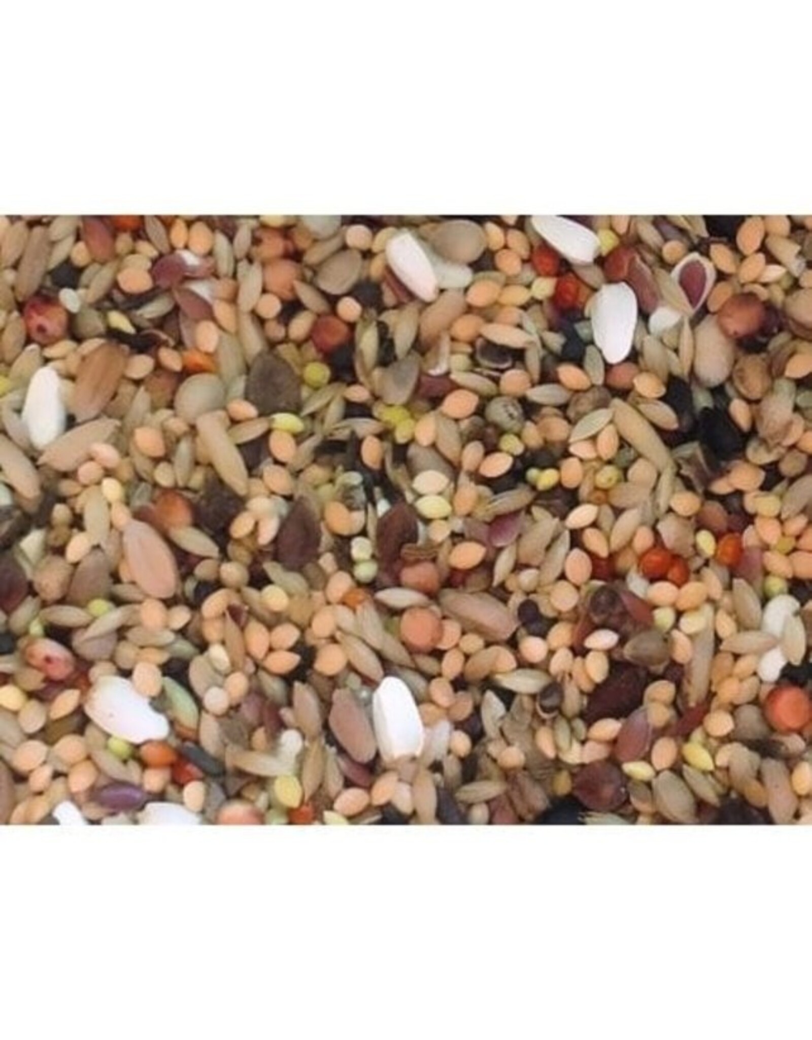 Slaats Agapornis Champ Original Rudi Bleyen - 20 KG