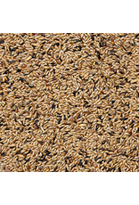 Deli Nature Kanarie kweek znd raap nr 80 - 20 KG