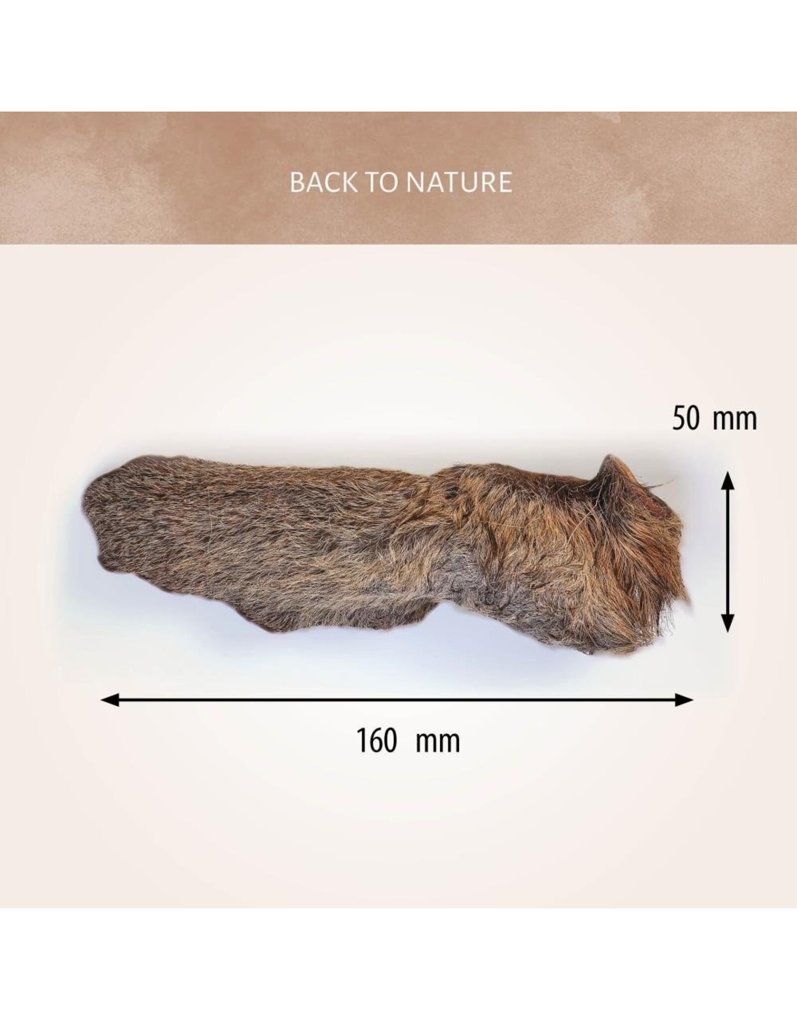 Antos Ree Oren Met Vacht - 6 Stuks