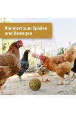 Quiko Quiko Hobby Kruiden Fitness Ball - 400 Gram Quiko Quiko Hobby Kruiden Fitness Ball - 400 Gram