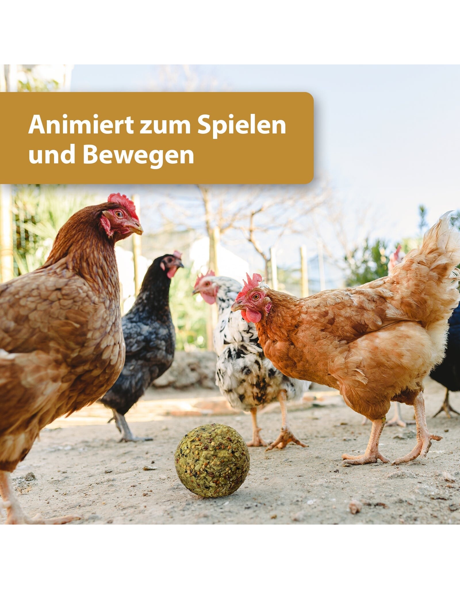 Quiko Quiko Hobby Kruiden Fitness Ball - 400 Gram