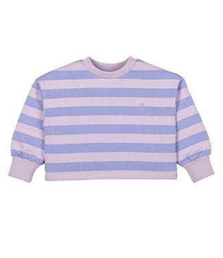 Charlie Petite Gia longsleeve sweater Lila stripe