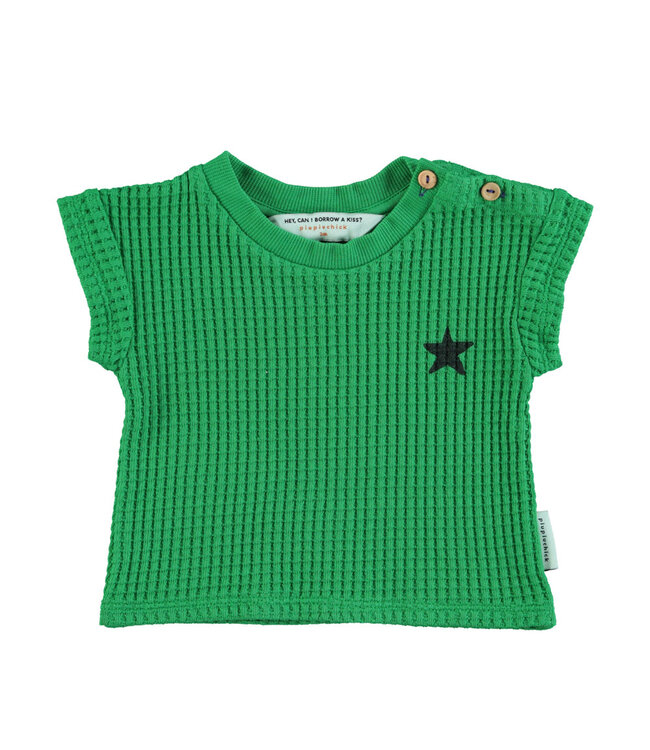 Piupiuchick t'shirt | B green w/ black logo print