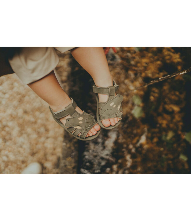 Donsje Cargot sandals - Frog