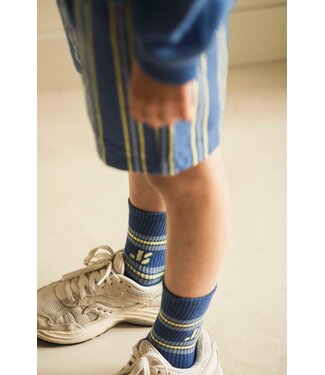 Jenest JS Sport socks Cobalt blue
