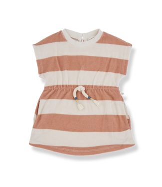 1 + in the family ILARIA Coral