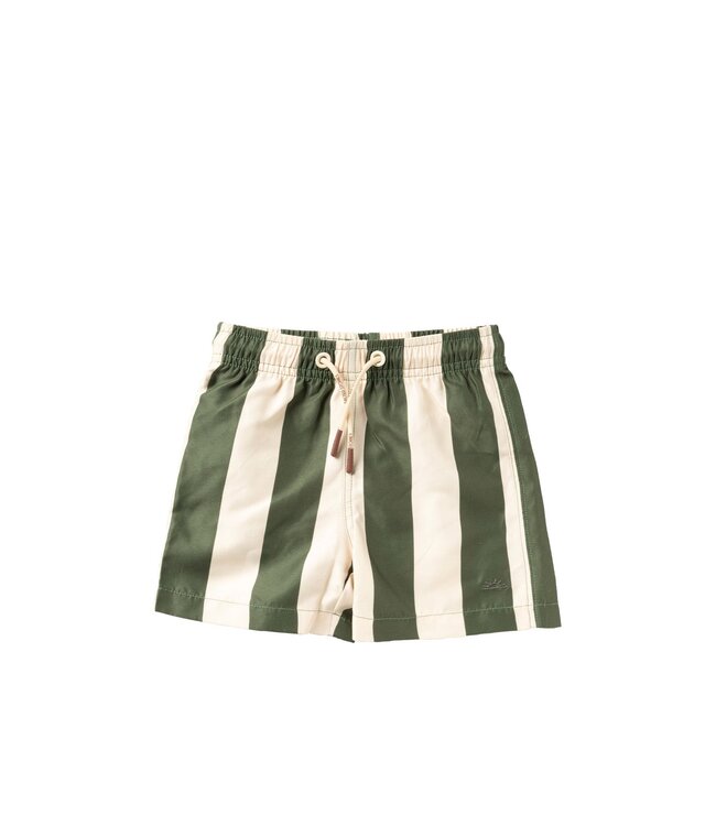 Salted Stories Wide stripe Swim shorts Bronze green