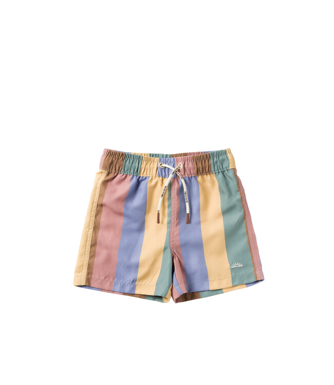 Salted Stories Multi stripe Swim shorts multicolor