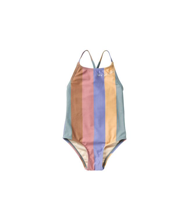 Salted Stories Multi stripe Swimsuit