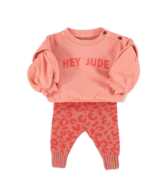 Piupiuchick Sweatshirt | Pink w/ "hey jude" print B