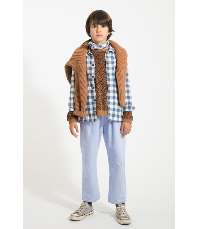 Piupiuchick Shirt | Blue & white checkered