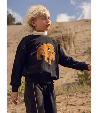 Mini Rodini Mammoth chenille sweatshirt Black