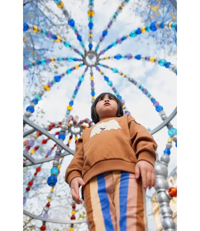 Sproet & Sprout Sweatshirt moustache dog Mocca