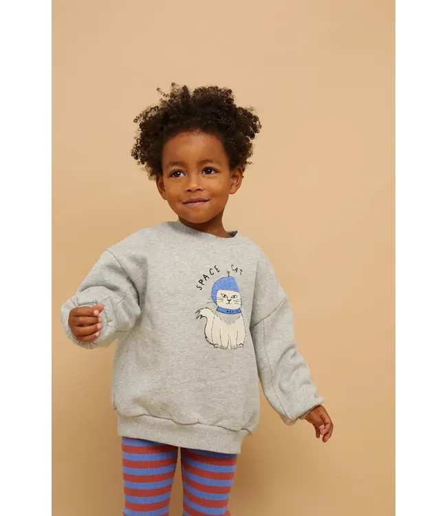 Sproet & Sprout Sweatshirt space cat  Grey melee