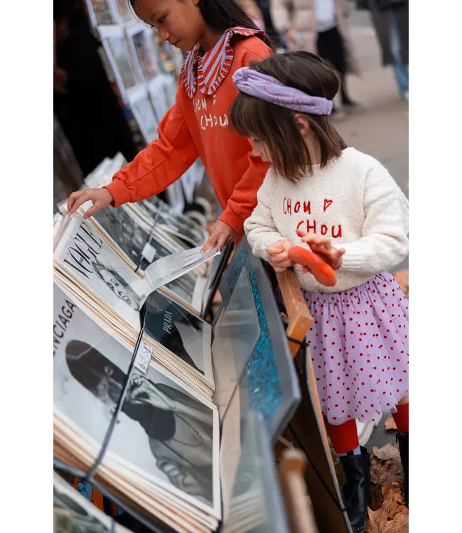 Sproet & Sprout Tule skirt Lavender