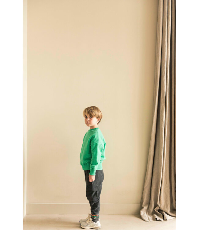 Jenest ART BIRD SWEATER Fresh green