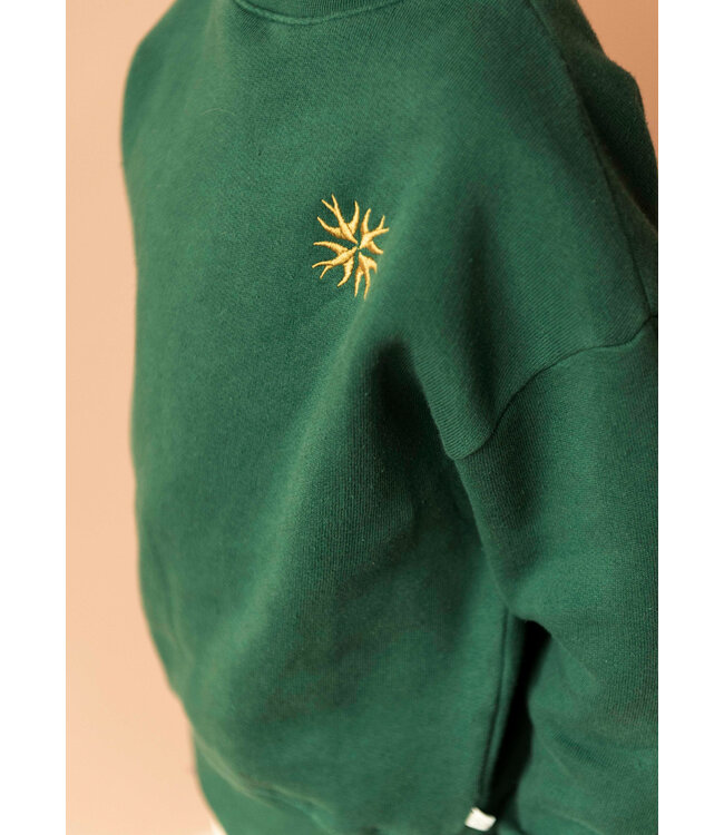 Jenest BIRD EMBRO SWEATER Dark green