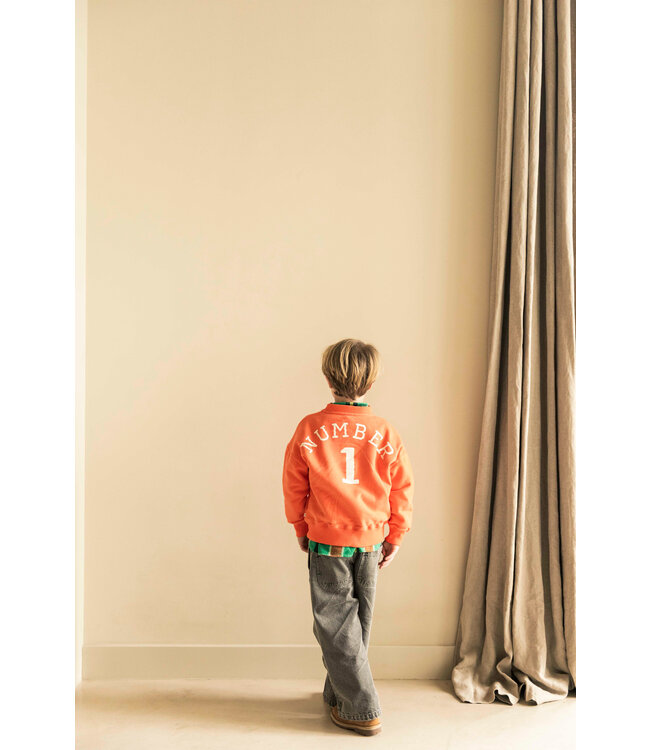 Jenest BIRD NR1 SWEATER Bright orange