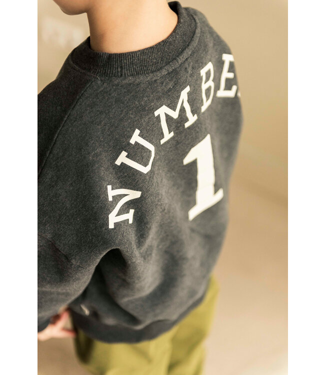 Jenest BIRD NR1 SWEATER Dark grey melange