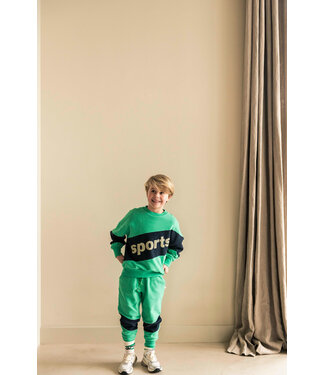 Jenest SAMMY SPORTS SWEATER Fresh green