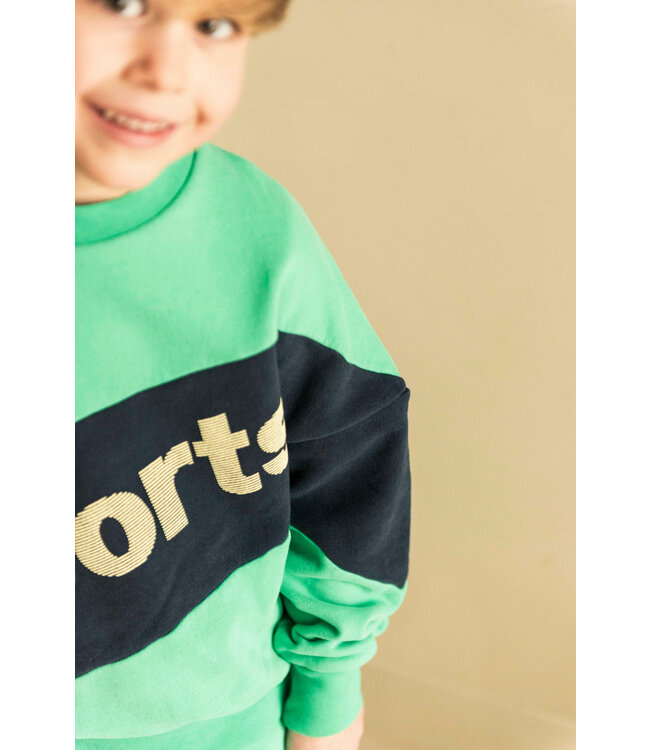 Jenest SAMMY SPORTS SWEATER Fresh green