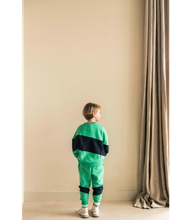 Jenest SAMMY SPORTS SWEATER Fresh green