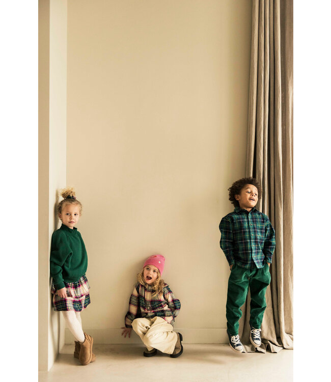 Jenest SCOTT SHIRT Navy blue green check