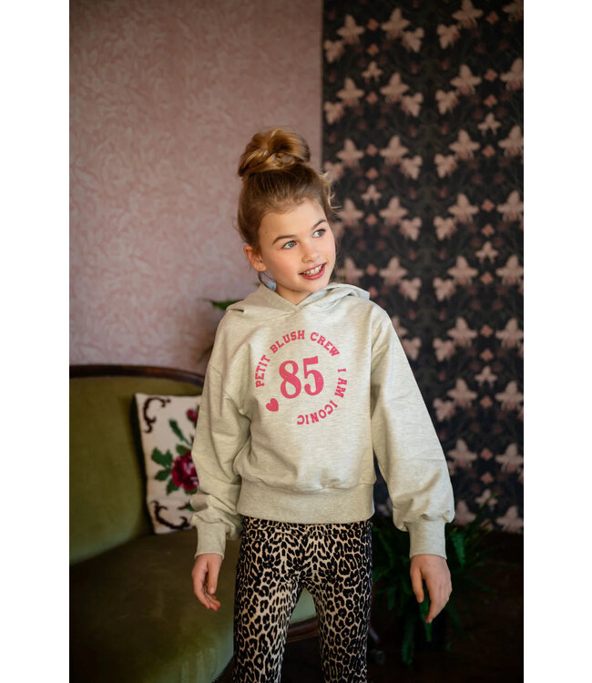 Petit Blush Hooded sweater Grey melange