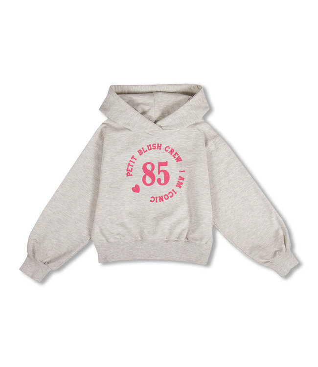 Petit Blush Hooded sweater Grey melange