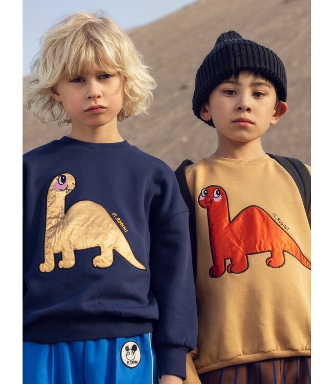 Mini Rodini Dino application sweatshirt