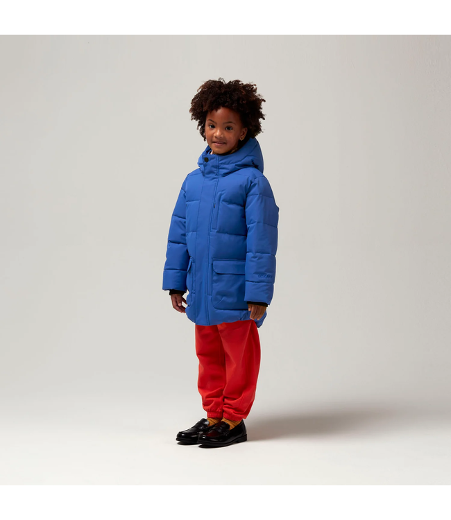 Gosoaky Tiger eye Dazzling blue