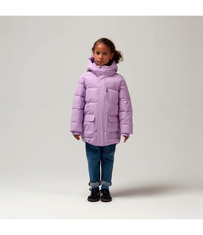 Gosoaky Tiger eye Crocus petal purple