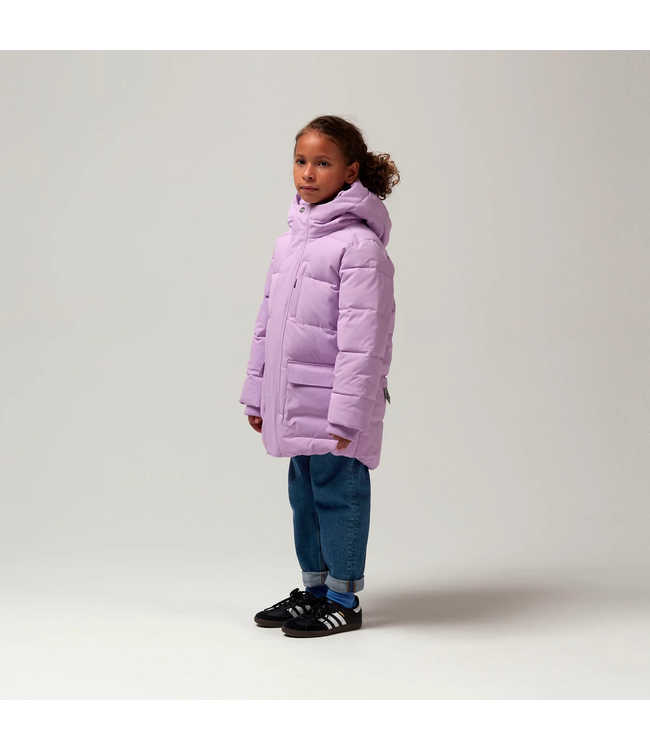 Gosoaky Tiger eye Crocus petal purple