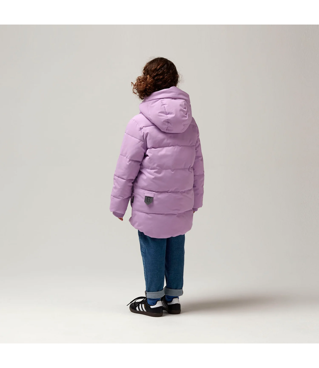 Gosoaky Tiger eye Crocus petal purple