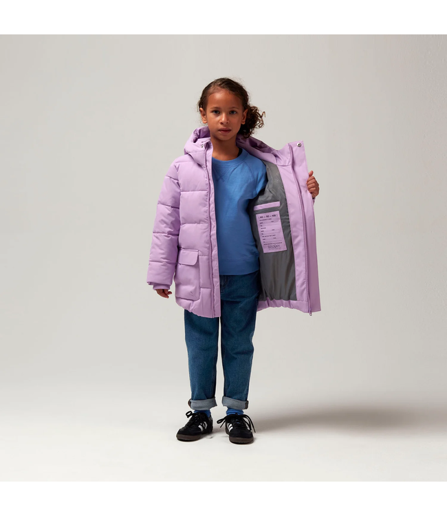 Gosoaky Tiger eye Crocus petal purple