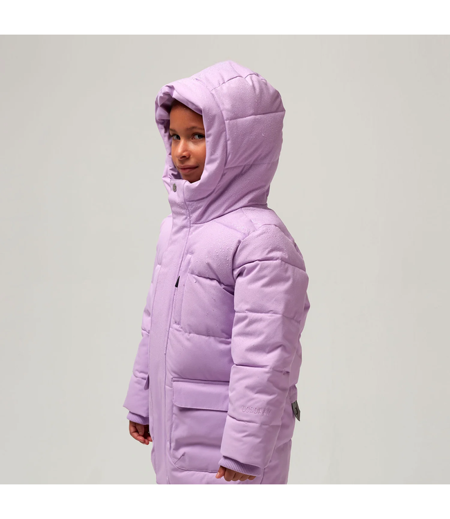 Gosoaky Tiger eye Crocus petal purple