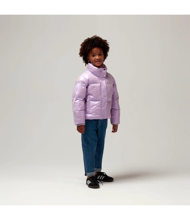 Gosoaky Rock lobster Crocus petal purple