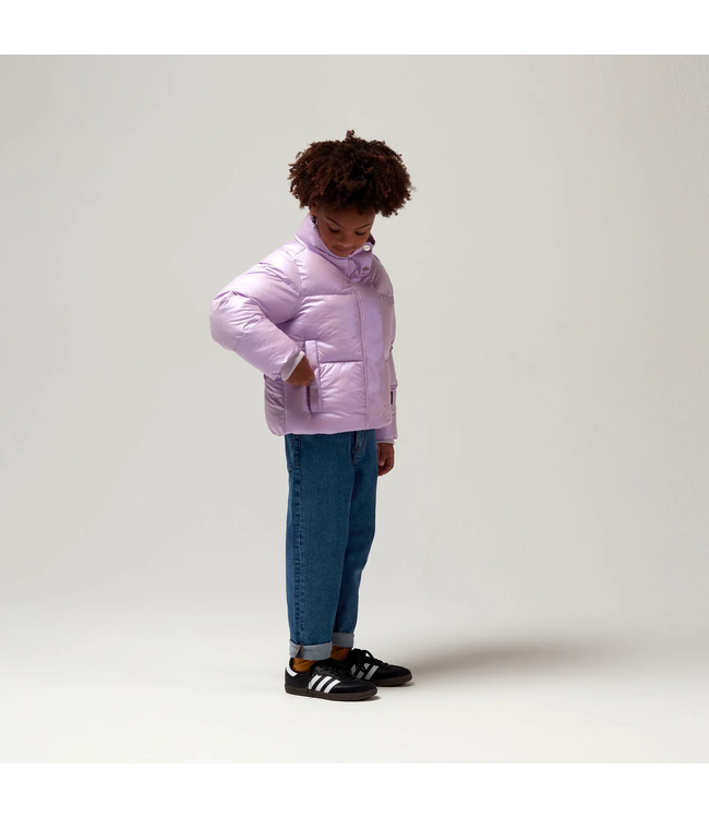 Gosoaky Rock lobster Crocus petal purple