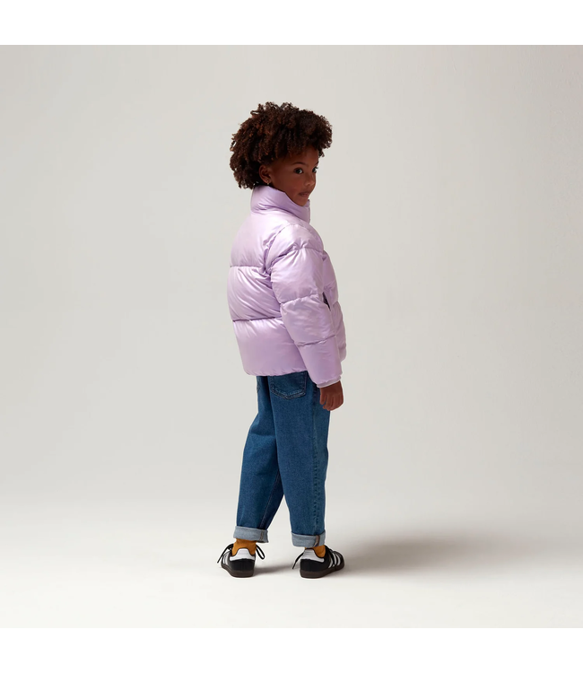 Gosoaky Rock lobster Crocus petal purple