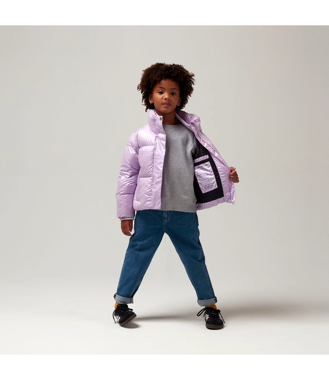 Gosoaky Rock lobster Crocus petal purple