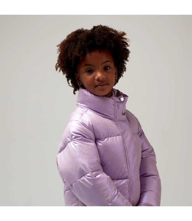 Gosoaky Rock lobster Crocus petal purple