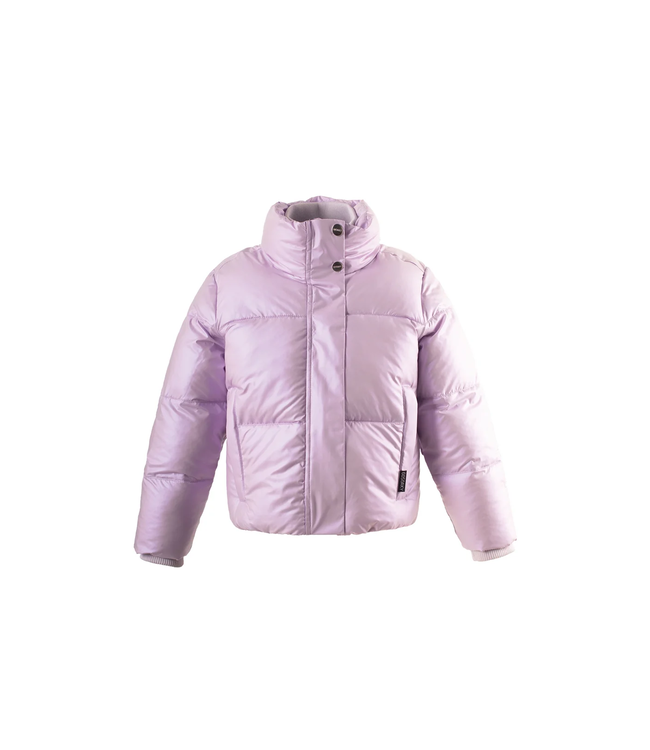 Gosoaky Rock lobster Crocus petal purple