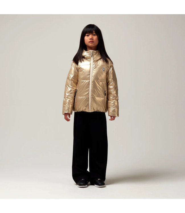 Gosoaky Flashy dragon Gold