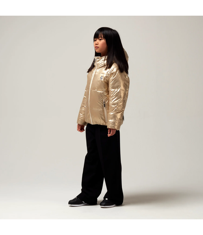 Gosoaky Flashy dragon Gold