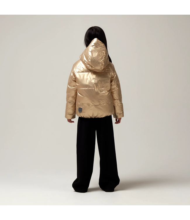 Gosoaky Flashy dragon Gold